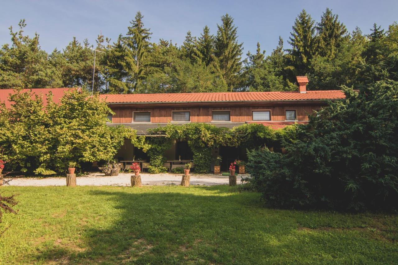 Bed and Breakfast Orsegi Patakparti Alpaka Panzio Kisrakos Экстерьер фото